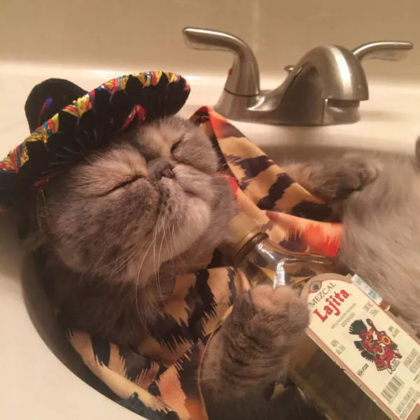 Picdump 111 - #8 