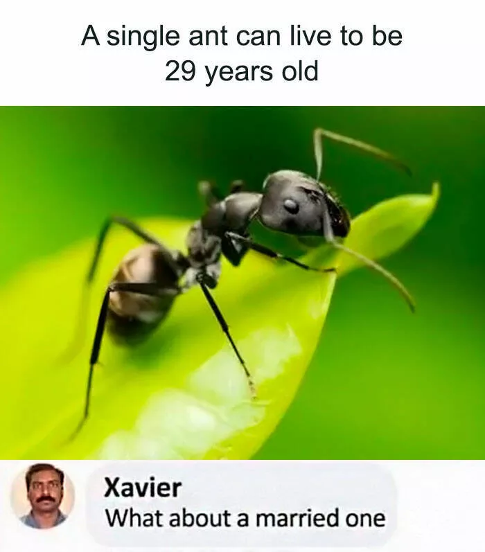 Classic dad humor top laugh out loud moments - #11 