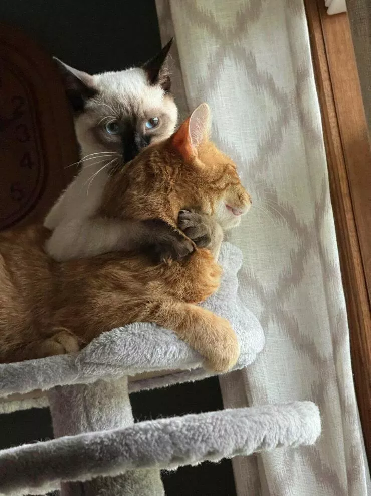 Picdump 857 - #18 