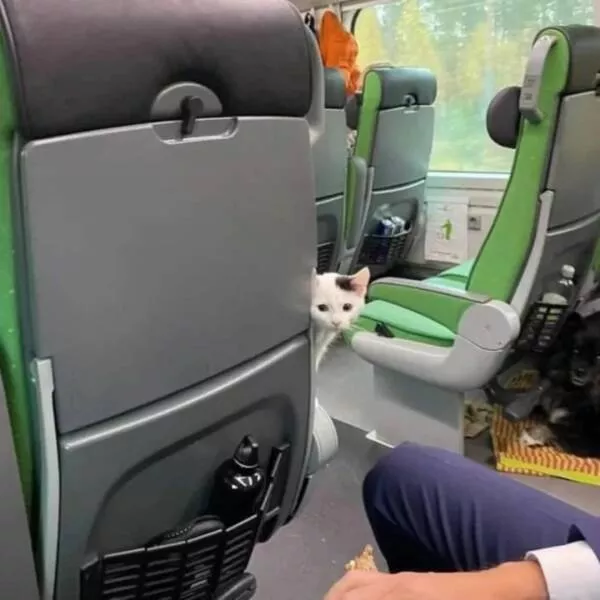 Picdump 857 - #27 