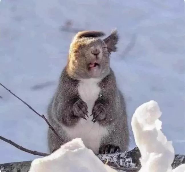 Picdump 857 - #47 