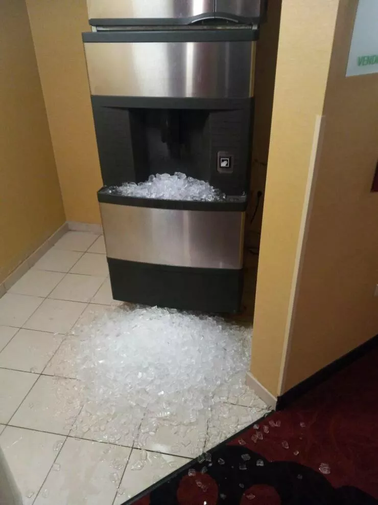 Picdump 857 - #51 