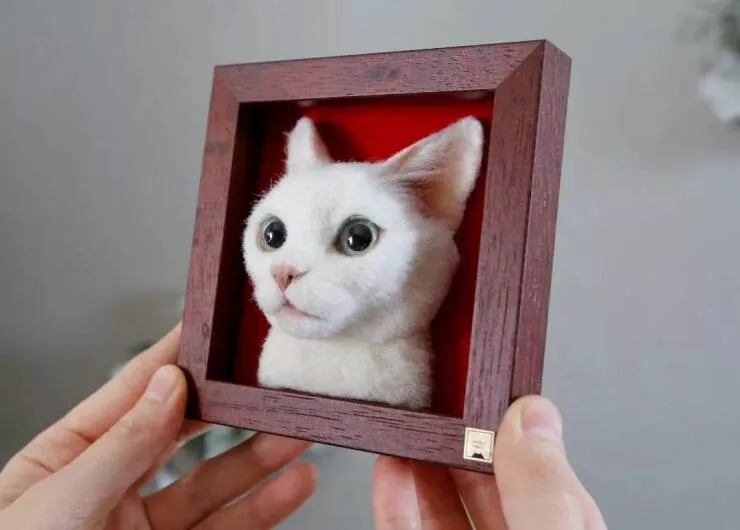 Picdump 857 - #7 