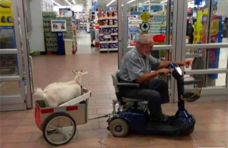 Picdump 858 - #20 
