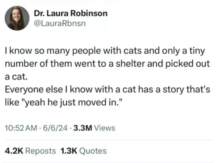 Delightful cat photos and memes for instant joy - #21 