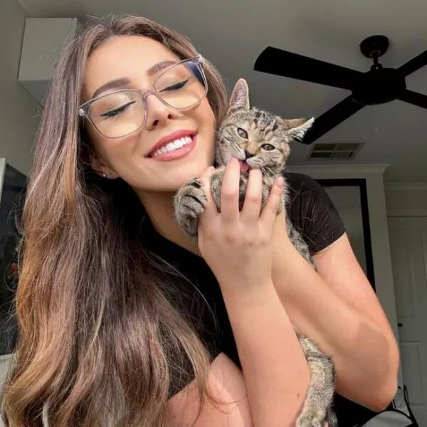 Delightful cat photos and memes for instant joy