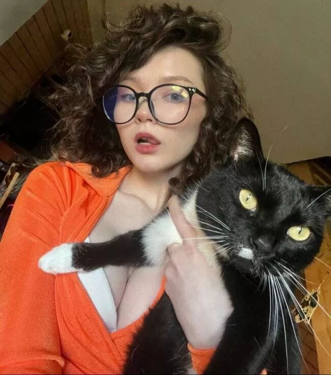 Delightful cat photos and memes for instant joy - #8 