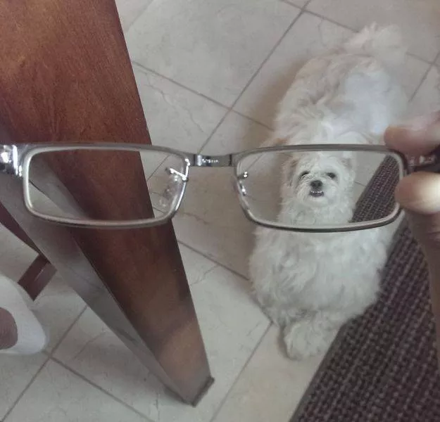 Picdump 112 - #32 
