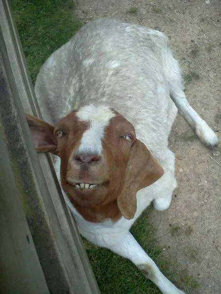 Picdump 112 - #33 