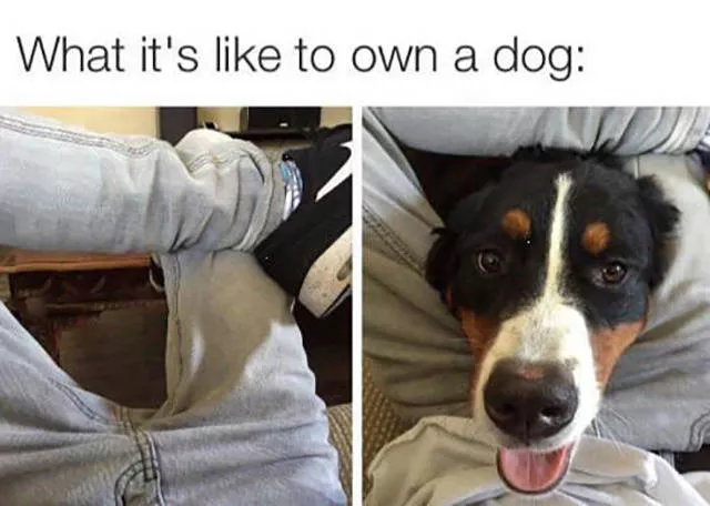 Picdump 112 - #42 