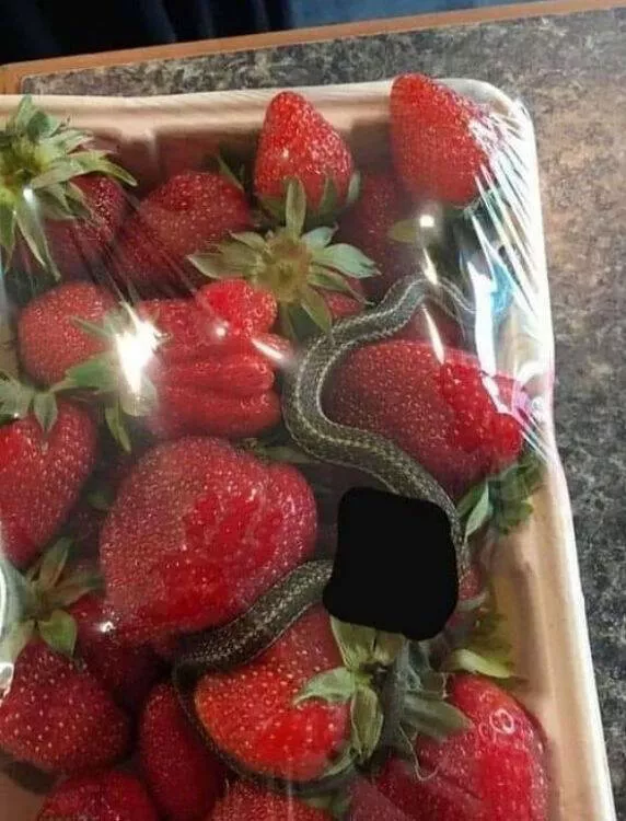 Hilarious and unexpected moments that make you say no way - #7 