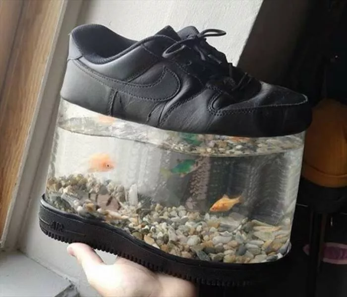 Picdump 860 - #11 