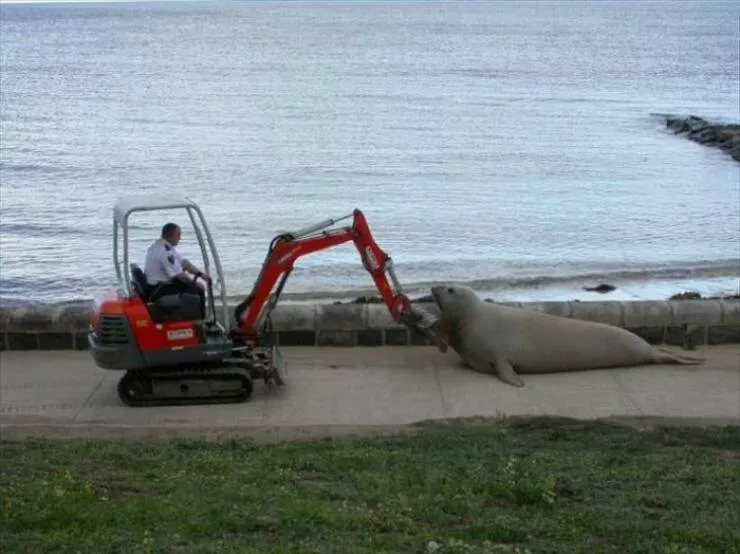 Picdump 860 - #14 