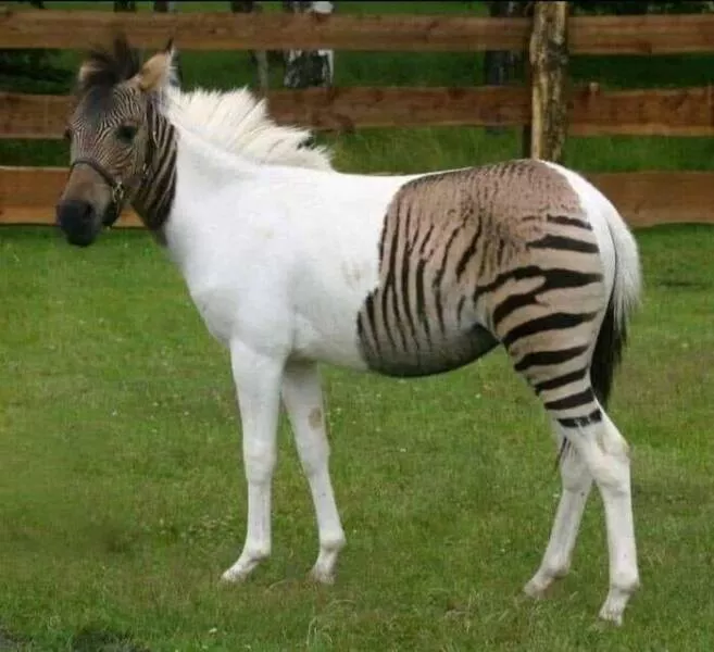 Picdump 860 - #17 
