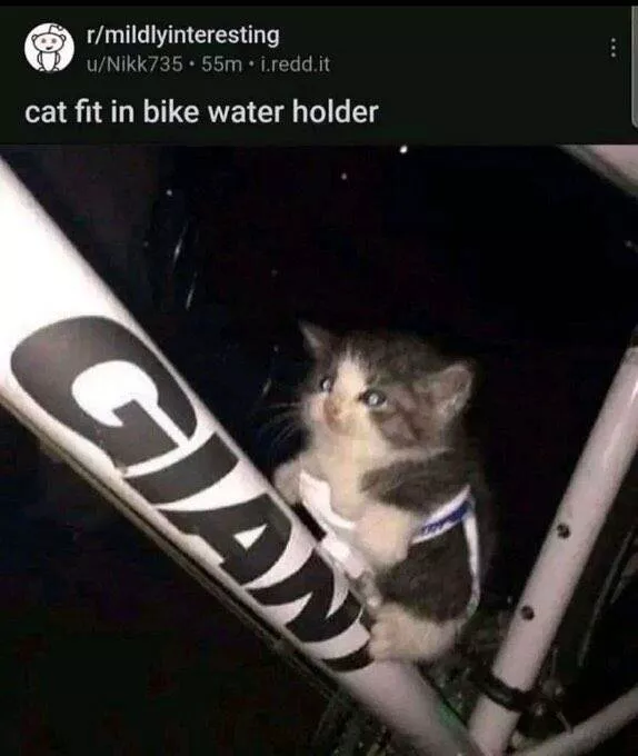 Picdump 860 - #4 