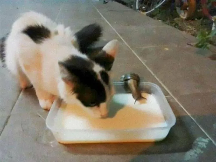 Picdump 860 - #6 