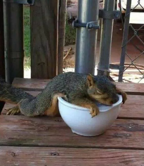 Picdump 861 - #18 