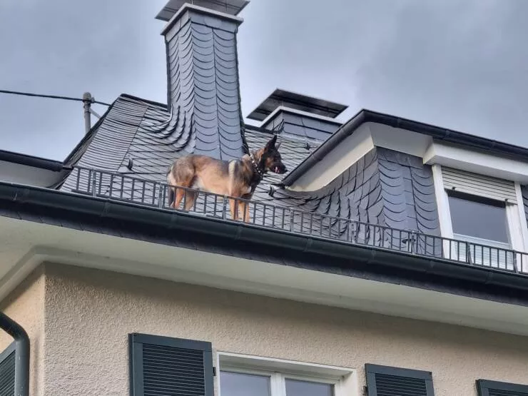 Picdump 861 - #22 