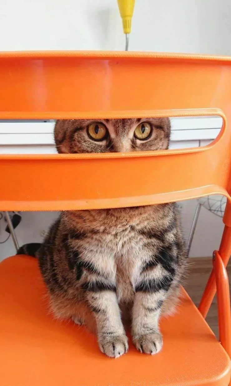 Picdump 861 - #59 