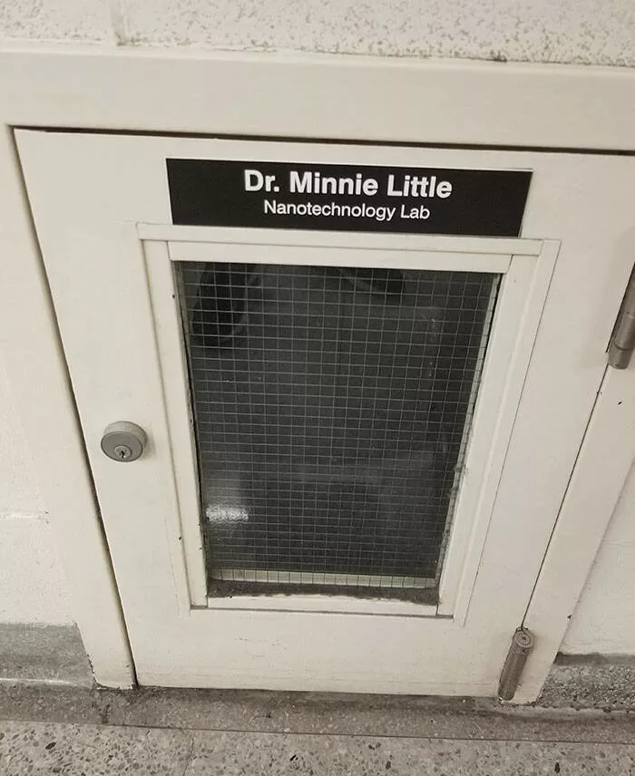 Captivating scenes from school and university life - #42 This Little Door at My University