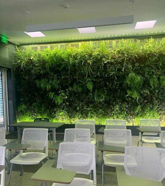 Moments captivants a lecole et a luniversite - #8 Ma Salle de Classe en Sciences de l'Environnement a des Plantes Vivantes sur le Mur Moments captivants a lecole et a luniversite - #8 Ma Salle de Classe en Sciences de l'Environnement a des Plantes Vivantes sur le Mur