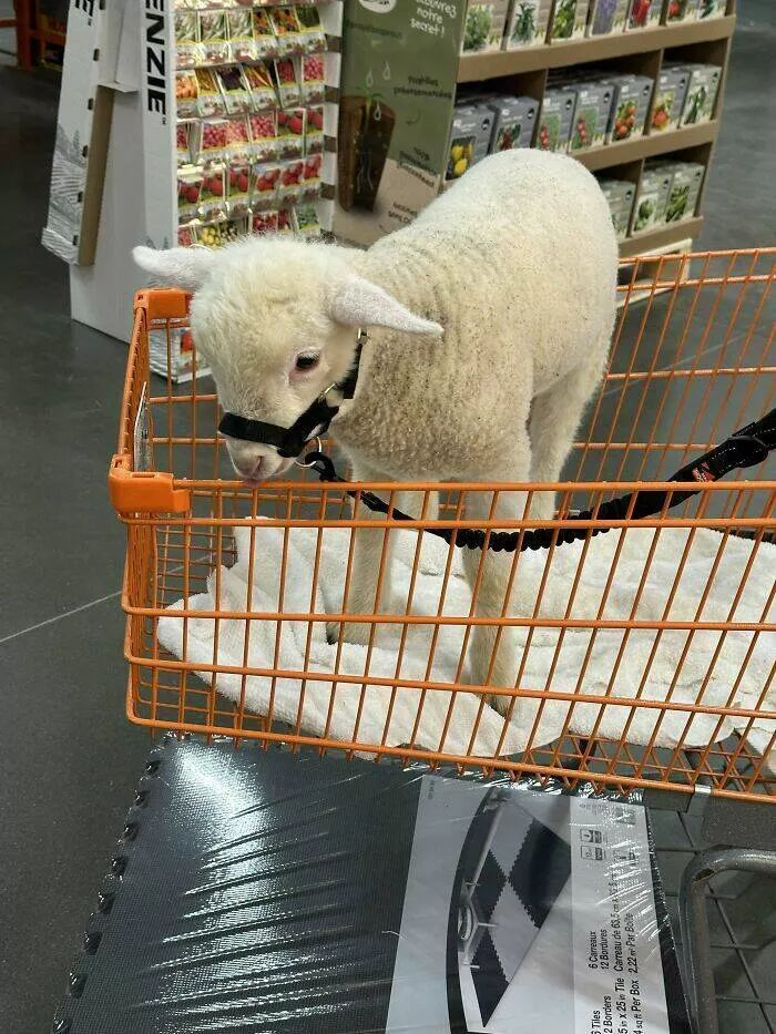 Unforgettable encounters with nightmare customers at home depot - #1 Oday at Home Depot 7141