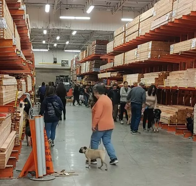 Unforgettable encounters with nightmare customers at home depot - #5 Dog obedience class inside the store at 6pm. WTF?