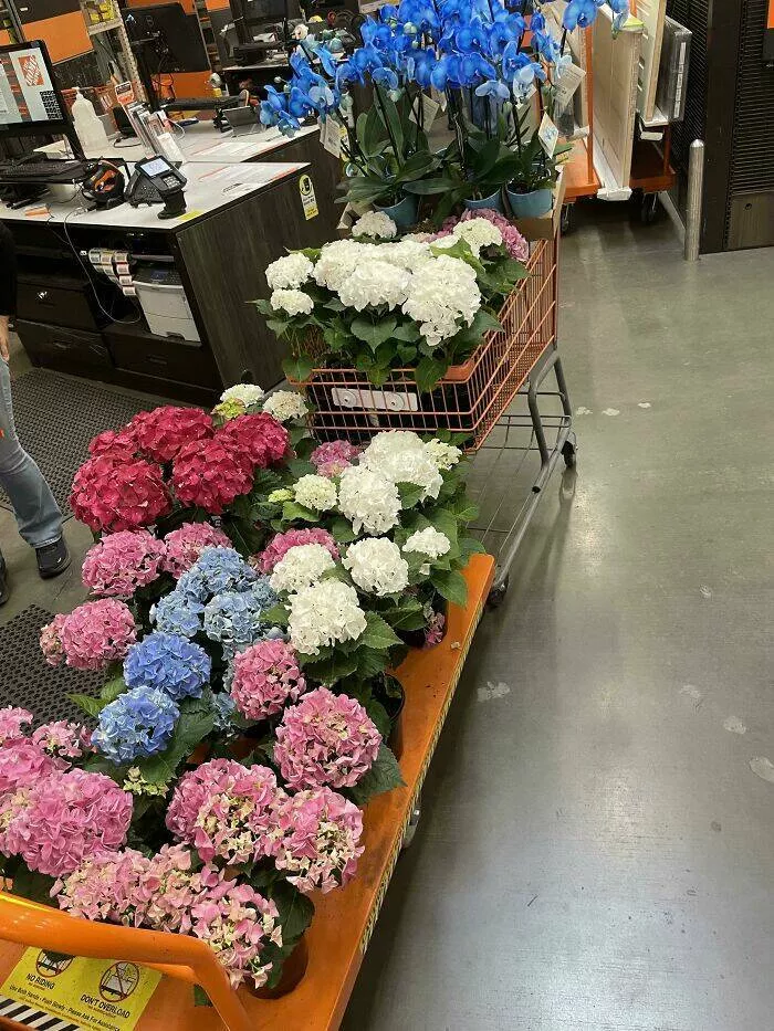 Unforgettable encounters with nightmare customers at home depot - #8 A nun returns $800 in flowers every day. We have a nun who buys flowers for church events based on the required color. It's an endless cycle, happening every day!!