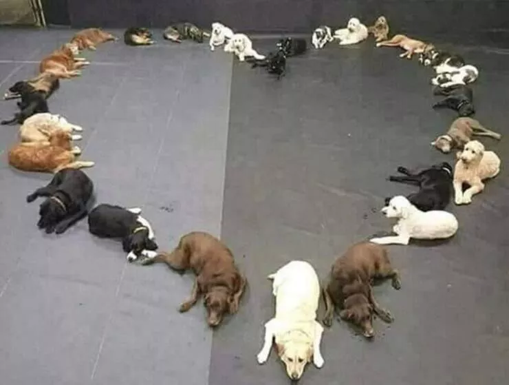 Picdump 862 - #28 
