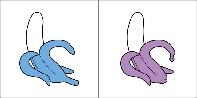 Discover the two type of people - #17 