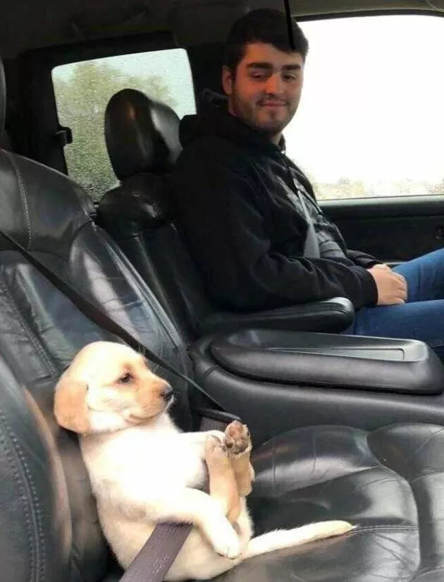 Picdump 863 - #10 