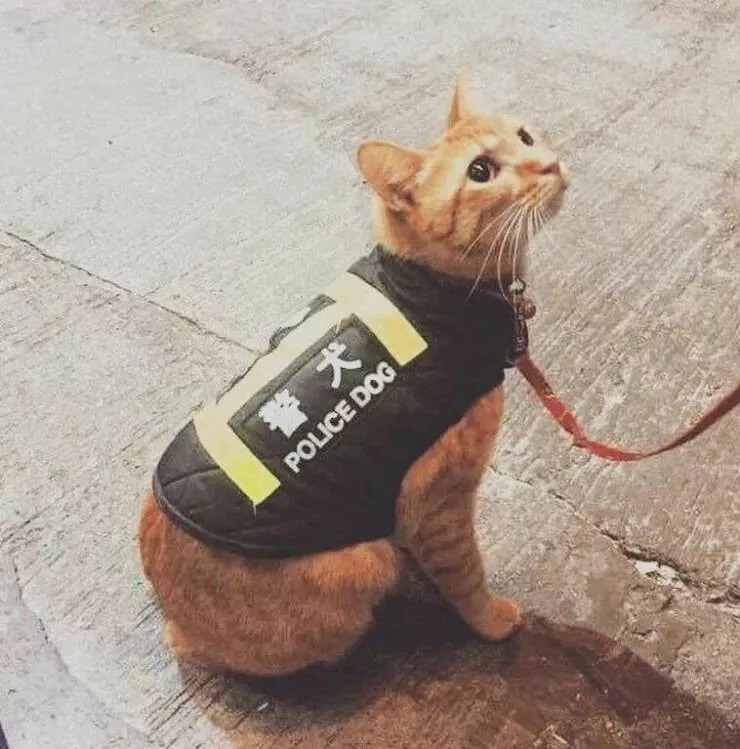 Picdump 863 - #28 