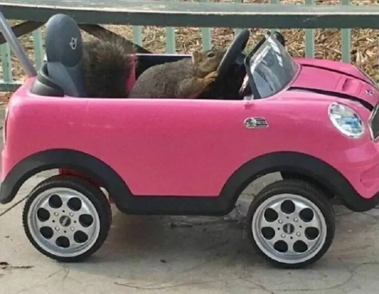 Picdump 863 - #30 