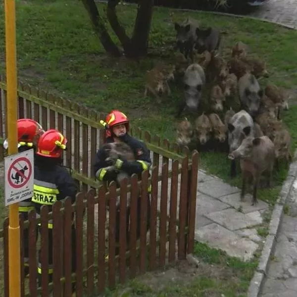 Picdump 863 - #44 