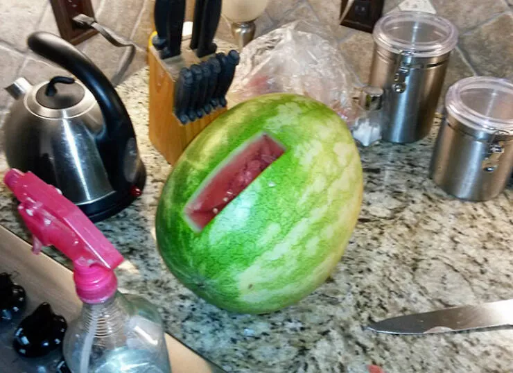 Laugh out loud wife fails hilarious moments captured - #22 My wife: I’d like some watermelon, but I can’t be bothered to slice the whole thing Laugh out loud wife fails hilarious moments captured - #22 My wife: I’d like some watermelon, but I can’t be bothered to slice the whole thing