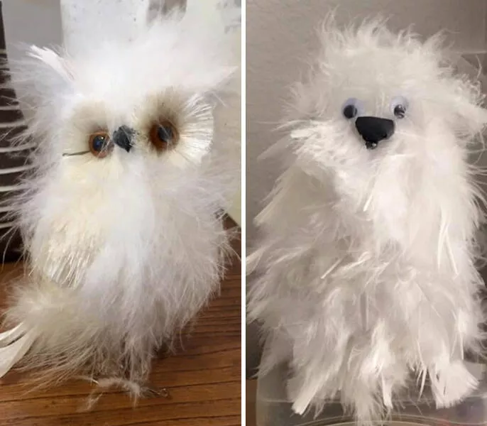 Les echecs hilarants des femmes captures en photos - #23 Ma femme est une artiste talentueuse, alors elle a voulu faire le hibou blanc au lieu de l’acheter tout fait
