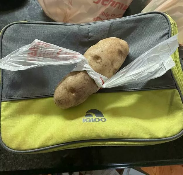 Les echecs hilarants des femmes captures en photos - #24 Ma femme n'a pas pu ouvrir le sac, alors voici sa solution quand elle a acheté la pomme de terre