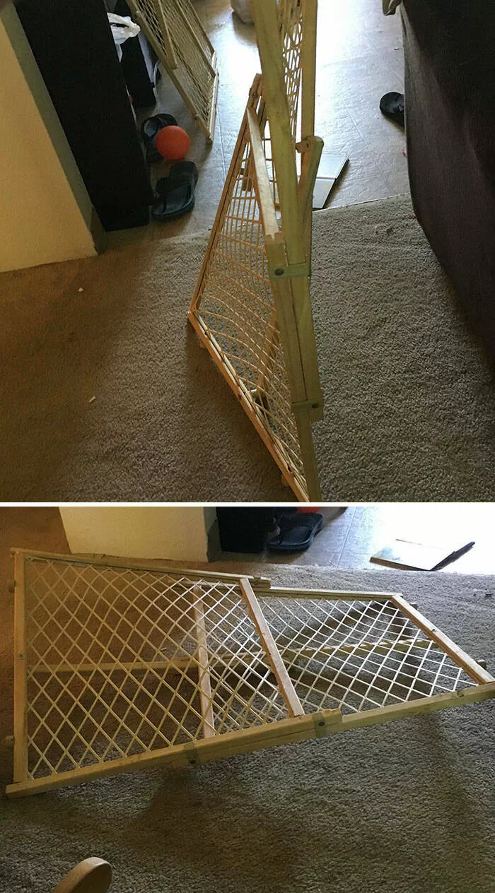 Laugh out loud wife fails hilarious moments captured - #28 Wife's Been Home For 5 Minutes And Has Already Tripped Over And Broken The Baby Gate Laugh out loud wife fails hilarious moments captured - #28 Wife's Been Home For 5 Minutes And Has Already Tripped Over And Broken The Baby Gate