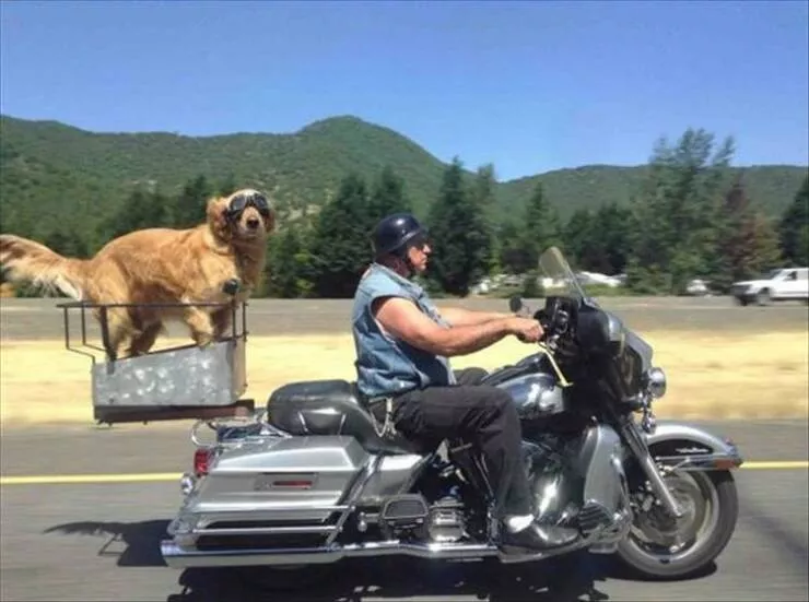 Picdump 864 - #32 