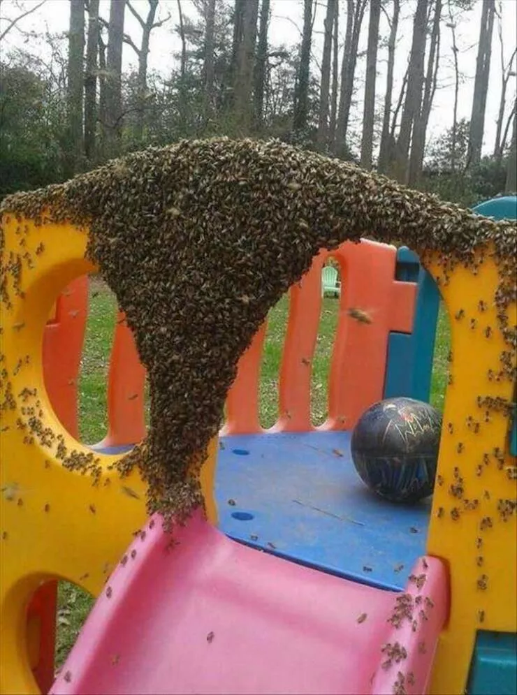 Picdump 864 - #36 