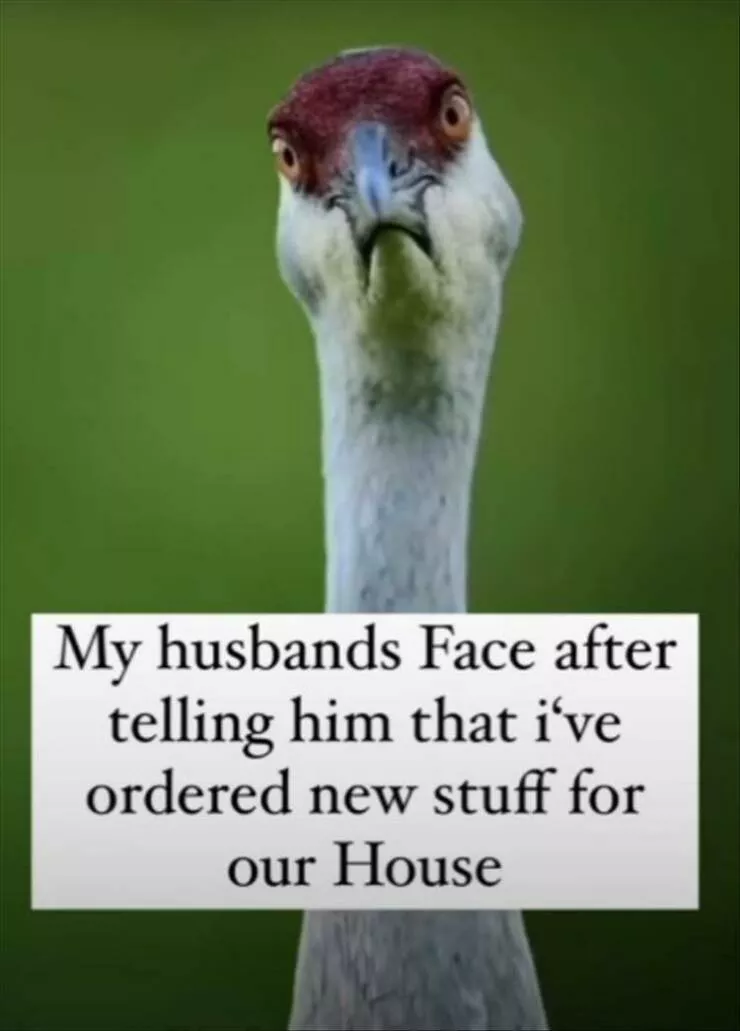 Wife fails that will have you rolling hilarious moments captured - #9 