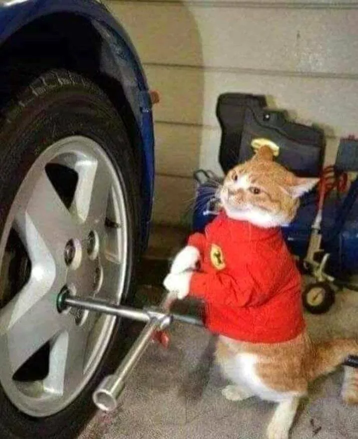 Picdump 866 - #10 