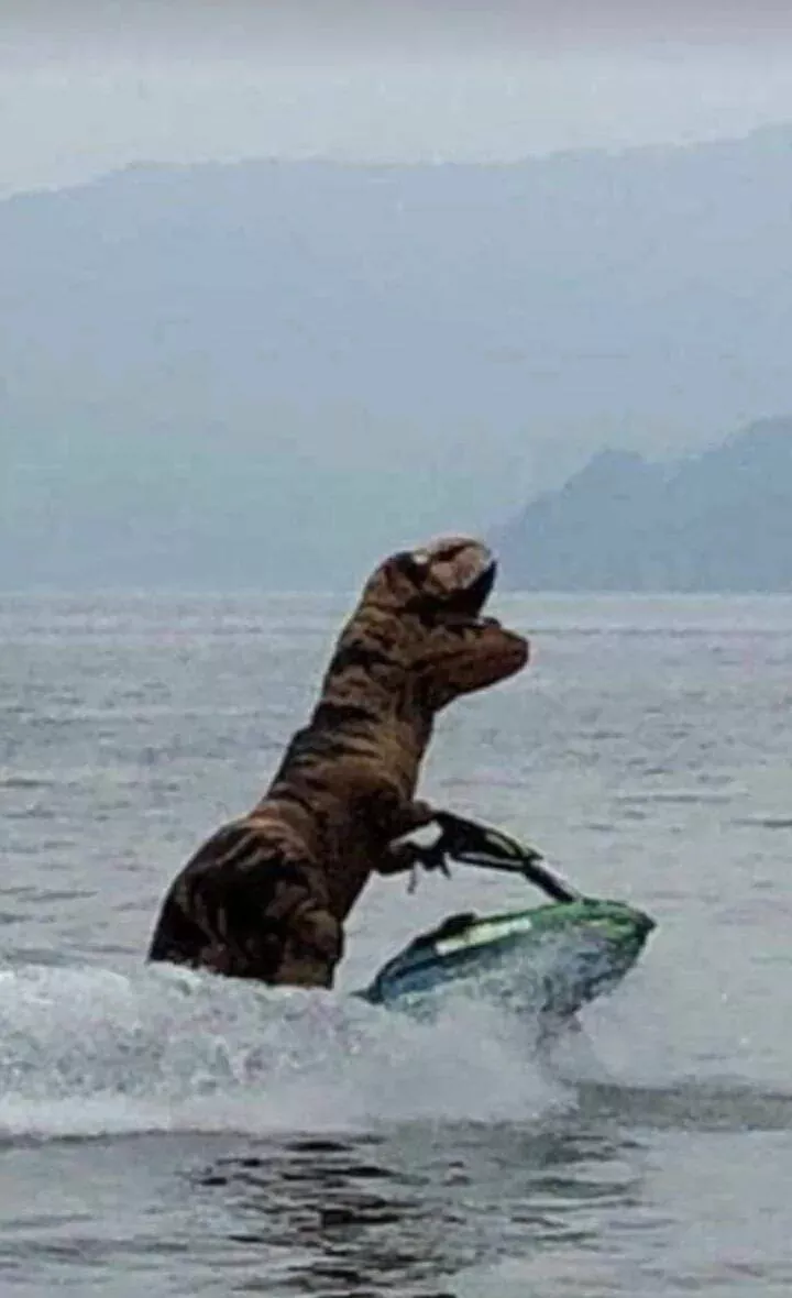 Picdump 866 - #24 
