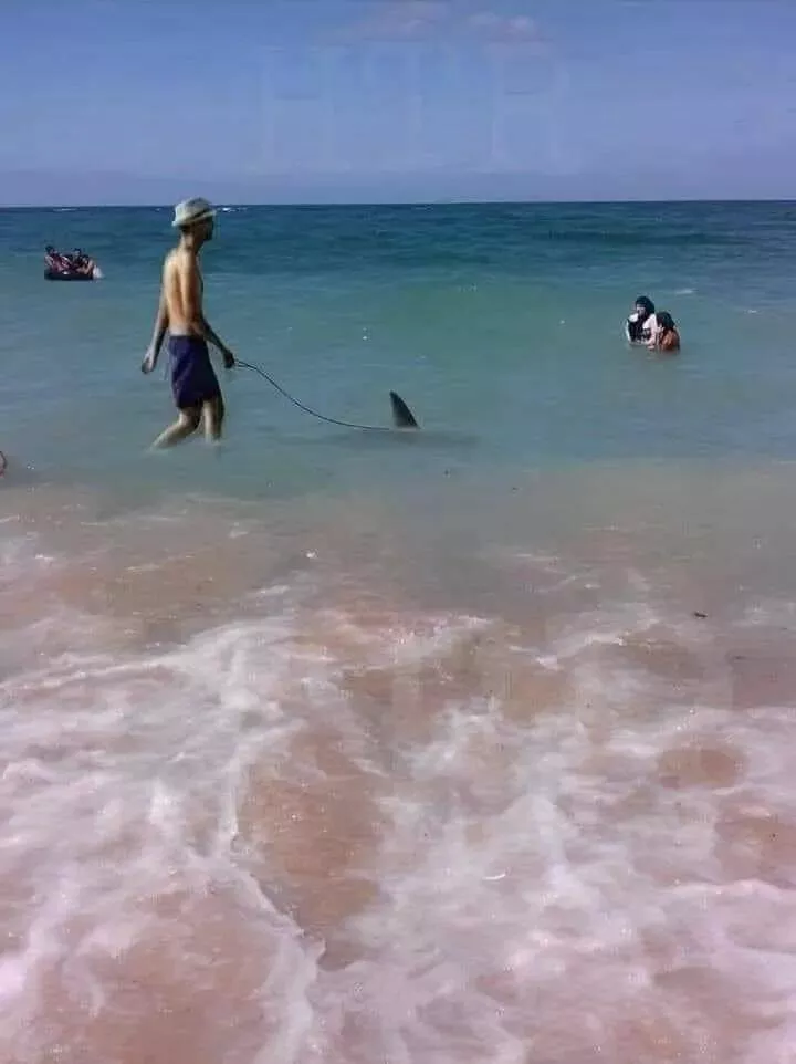 Picdump 866 - #32 