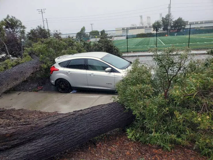 Lucky breaks unforgettable photos of serendipitous moments - #17 During a Storm, a Split Tree Miraculously Fell on Either Side of a Car Without Causing Damage