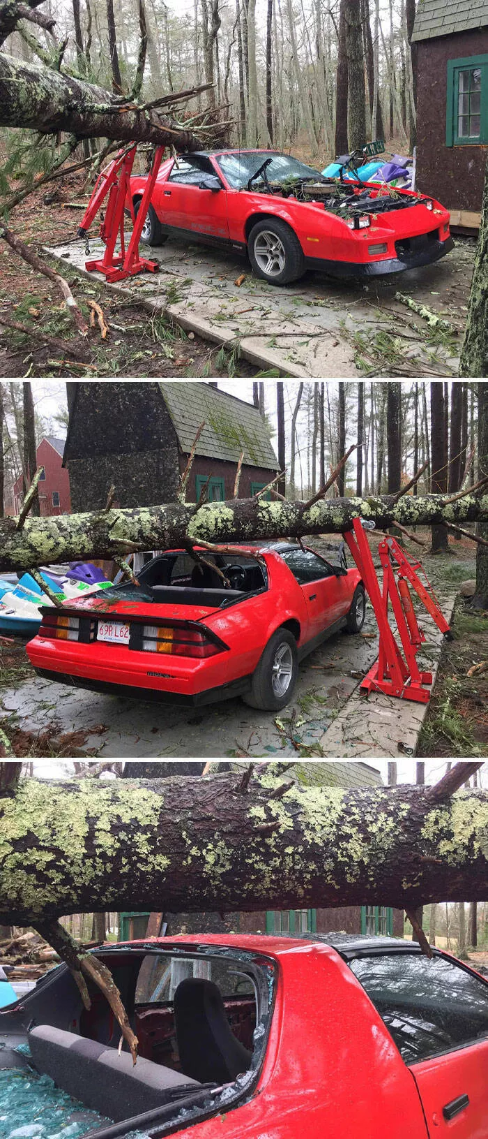 Coup de chance photos inoubliables de moments sereux - #34 Le palan de Kenny Viera a sauvé sa voiture de projet d'être totalement détruite par un arbre tombé lors d'une tempête