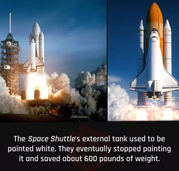 Fascinating random facts that will amaze you - #1 