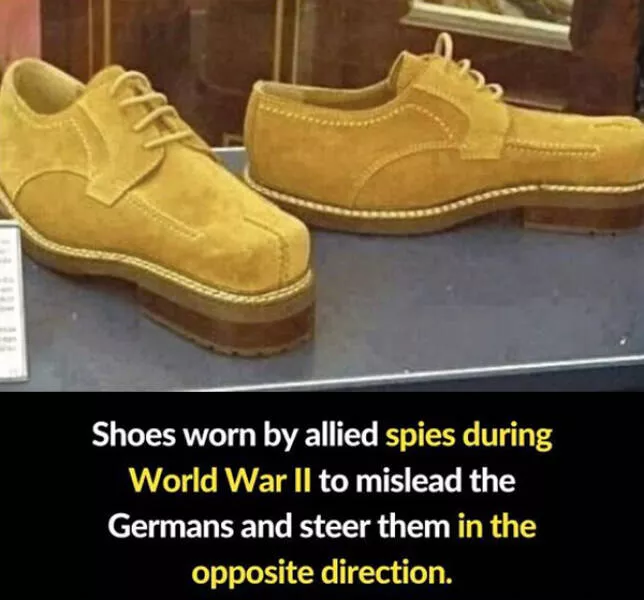 Fascinating random facts that will amaze you - #12 