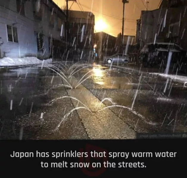 Fascinating random facts that will amaze you - #14 