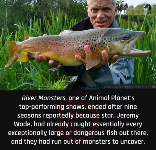 Fascinating random facts that will amaze you - #24 